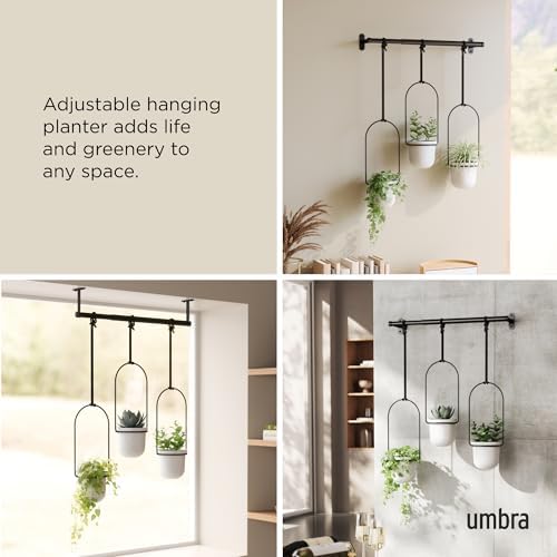 Umbra Triflora Hanging Planter, Indoor Herb Garden - Image 4