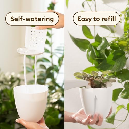 PlantPod Classic - Image 5