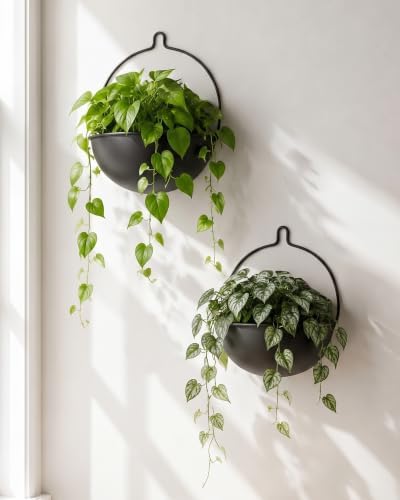 Bamworld 10.4 Inch Wall Planters by Bamworld