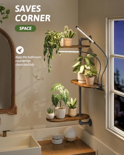 GENTINGBRO Window Plant Shelves 3-Tier - Image 5