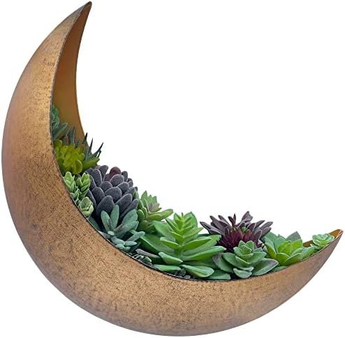 Moon Wall Planter by AERLO