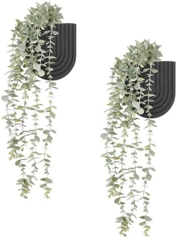 Dahey 2 Pack Wall Planter Vase by Dahey