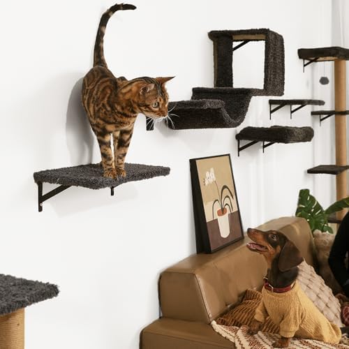 FUKUMARU Cat Wall Shelves, 4 in 1 Set - Image 4