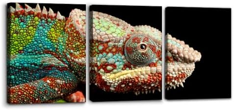 Pacimo Canvas Print Wall Art Set Chameleon Nature Photography Animals Realism by Pacimo