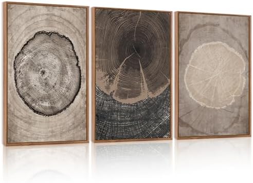 CHDITB Beige Tree Ring Framed Canvas Wall Art Set, Modern Wood Stump Wall Decor by CHDITB