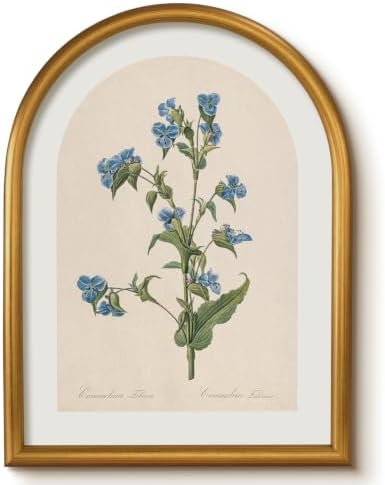 VIYYIEA Vintage Floral Wall Art, Vintage Arched Framed Artwork by VIYYIEAART