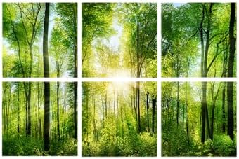 YPY Sound Absorbing Wall Art Forest Trees, Acoustic Panels Sound Proofing by YPY