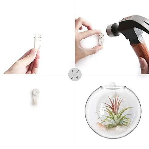 Mkono Wall Propagation Planters, 4 Pack Oblate Hanging Plant Holder Vase - Image 5