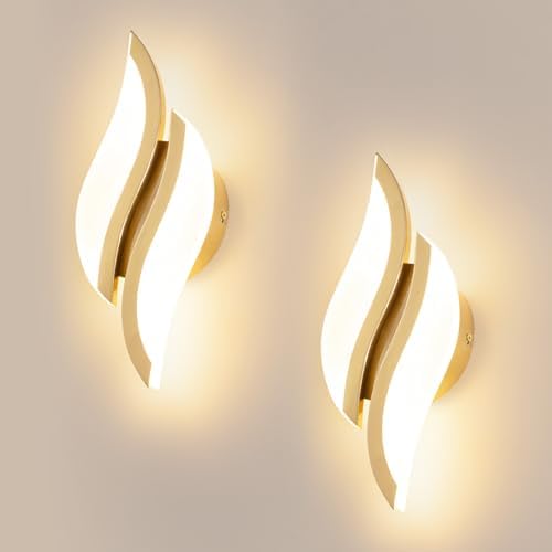 CANEOE Modern LED Wall Sconce 6000K Black Indoor Wall Light Fixtures Acrylic by CANEOE