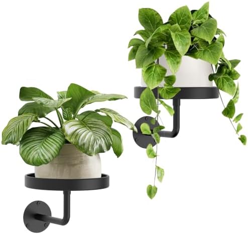 Wall Plant Holder, 6.3 Inch Metal Plant Hanger Indoor Wall Planter, Wall by JOPBENG