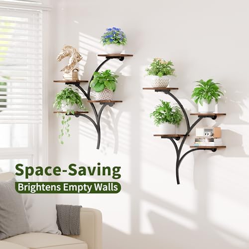 2 Pack Wall Mounted Plant Holder, 8-Tier Wall Planters - Image 3