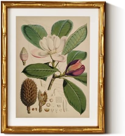 InSimSea Gold Bamboo Framed Wall Art, Retro Magnolia Botanical Print by InSimSeaArt