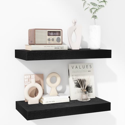 Fun Memories 16 Inch Floating Shelves by FunMemories