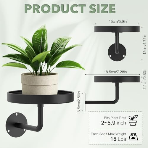 Wall Plant Holder, 6.3 Inch Metal Plant Hanger Indoor Wall Planter, Wall - Image 3