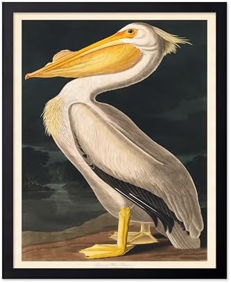 Poster Master Vintage John James Audubon Poster by PosterMaster