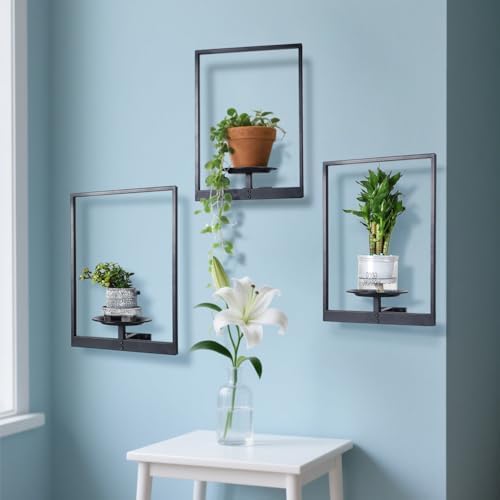 Plant Wall Shelf, Metal Modern Style Frame, Picture Wall Plant Holder, Plant - Image 2