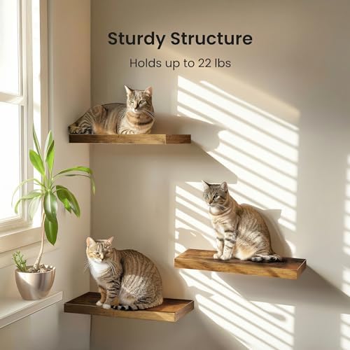 Amada 15.7" Floating Shelves for Wall Decor & Storage - Image 3