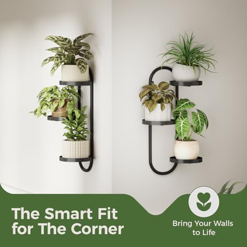 Laposso Window Plant Shelves Indoor Outdoor Wall Planters - Image 5