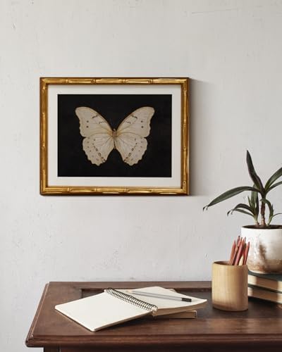 InSimSea Gold Bamboo Framed Wall Art, Retro White Butterfly Prints - Image 6