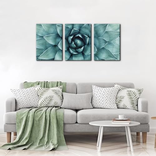 Pacimo 3 Pieces Canvas Wall Art Succulent Centre Pictures Prints Giclee Poster - Image 2