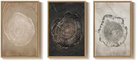 3 Piece Large Framed Neutral Tree Ring Wall Art - Image 6