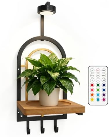 Wall Mounted Plant Holder with LED Light & Remote Control by Unknown