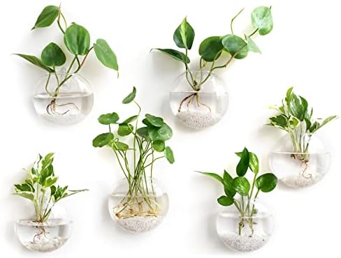 Mkono Wall Propagation Planters, 6 Pack Oblate Hanging Plant Holder Vase by Mkono