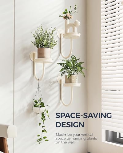 Bamworld Wall Plant Holder for Hanging Planters - Image 2