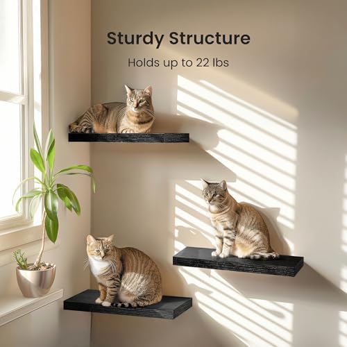 Amada 15.7" Floating Shelves for Wall Decor & Storage - Image 3