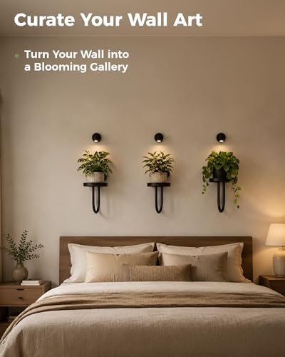 Bamworld Wall Plant Holder - Image 4