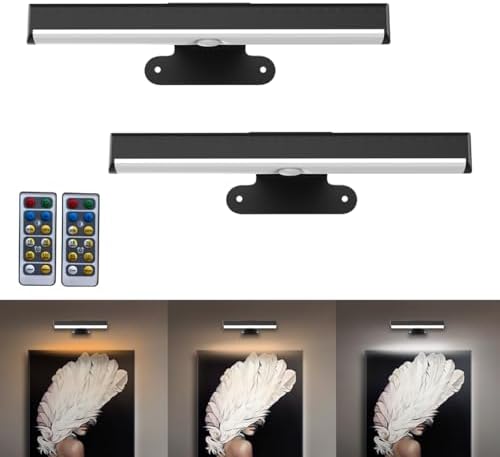 EUIOKUN 2PACK Picture Lights LED Battery Operated Wall Light by EUIOKUN