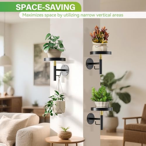 DELLAN Wall Plant Holder, 3 Pack Metal Stand - Image 3