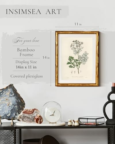 InSimSea Gold Bamboo Framed Wall Art, Plants Fern Botanical Prints - Image 3