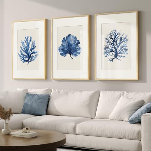 3 Piece Framed Coastal Ocean Blue Coral Wall Art by Cuspin
