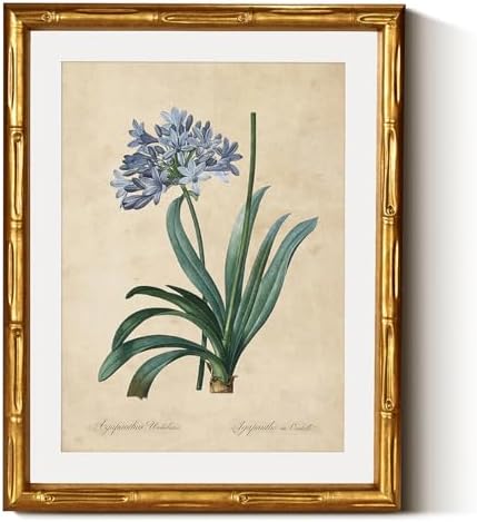 InSimSea Gold Bamboo Framed Wall Art, African Lily Botanical Prints by InSimSeaArt