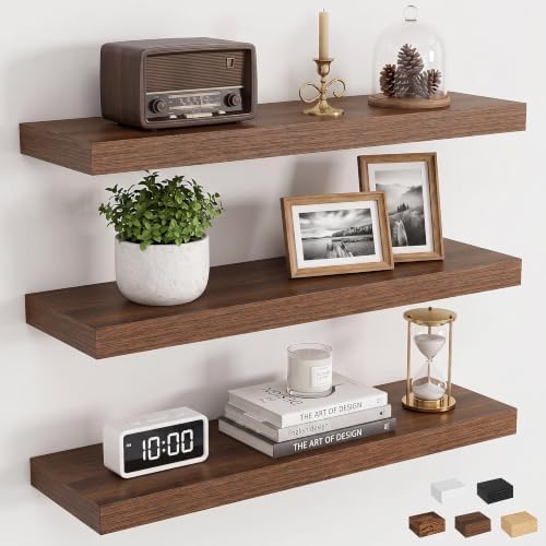 24 Inch Floating Shelves, 6.7" Deep Wall Shelves, Walnut Wall Shelf by Dreamland