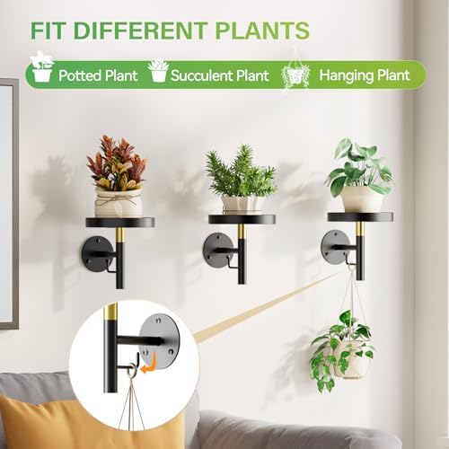 DELLAN Wall Plant Holder, 3 Pack Metal Stand - Image 4