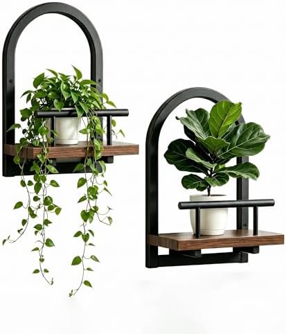 Amaoot Floating Shelves Set for 2, Wall Plant Holder Shelf, Wall Planters by Amoot