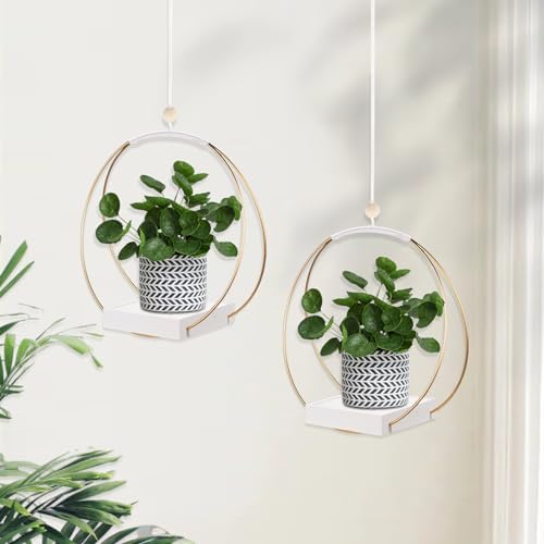 hismocal 2 Pack Hanging Planter Holder - Image 2