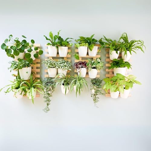 ShopLaLa Wall Planter for Plants Wooden Hanging Planters - Image 7