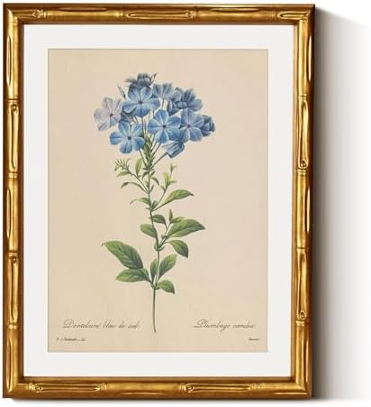 InSimSea Gold Bamboo Framed Wall Art, Vintage Blue Botanical Prints by InSimSeaArt