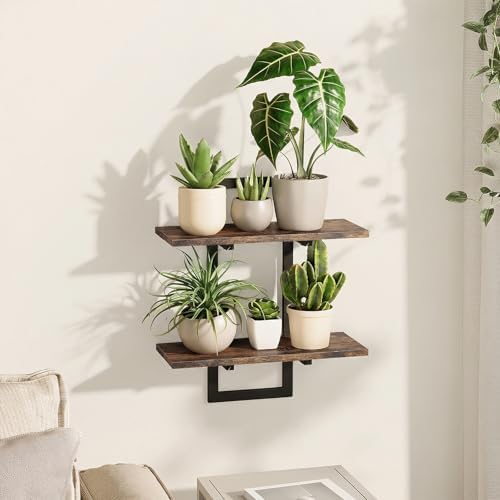 Bamworld Floating Shelves for Wall Planters Indoor Hanging Plant Shelves by Bamworld