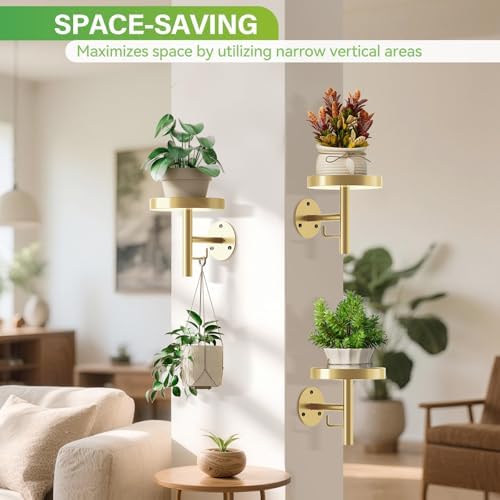 DELLAN Wall Plant Holder, All Gold - Image 5