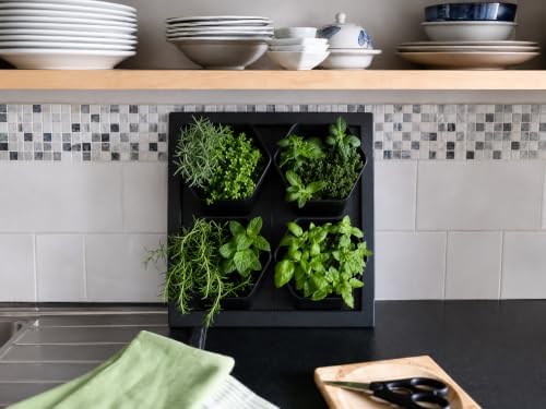 FRESH SPEED Self-Watering Wall Planters - Image 2