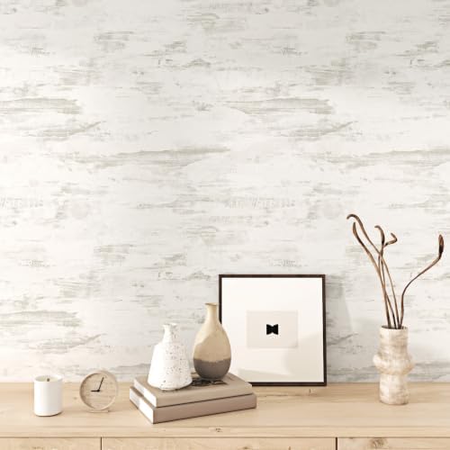 Beige Concrete Wallpaper Peel and Stick Textured Matte Cement by Mangoloo