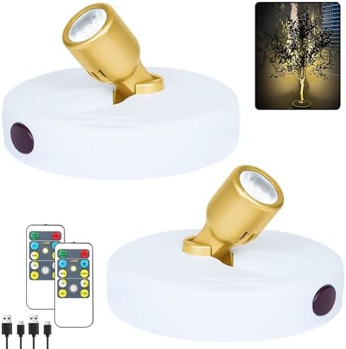 HAMVIDNE LED Spotlights Indoor, Rechargeable Battery Picture Display Lights by HAMVIDNE
