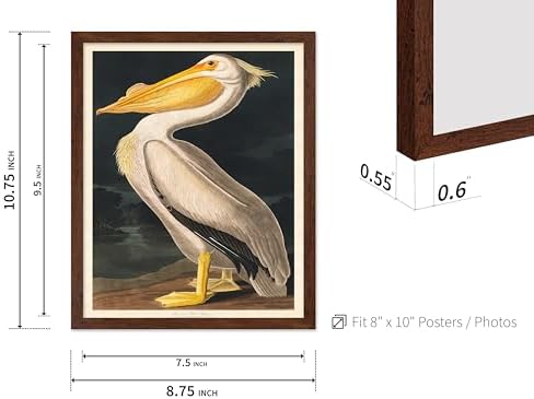 Poster Master Vintage John James Audubon Poster - Image 3
