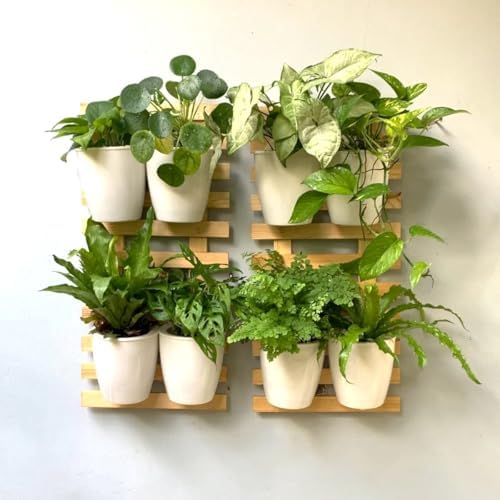ShopLaLa Wall Planter for Plants Wooden Hanging Planters - Image 4