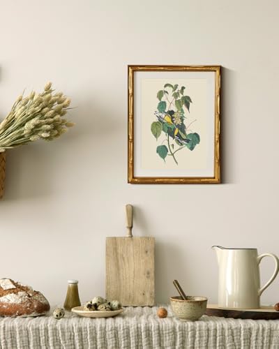 InSimSea Gold Bamboo Framed Wall Art, Vintage Bird Botanical Prints - Image 4