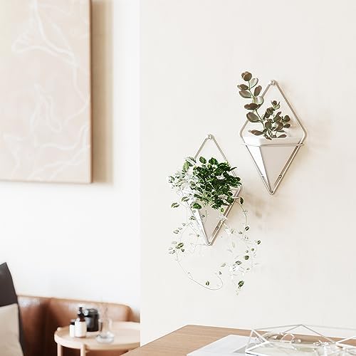 Umbra Trigg Wall Display, Geometric Planter Vessels - Image 2